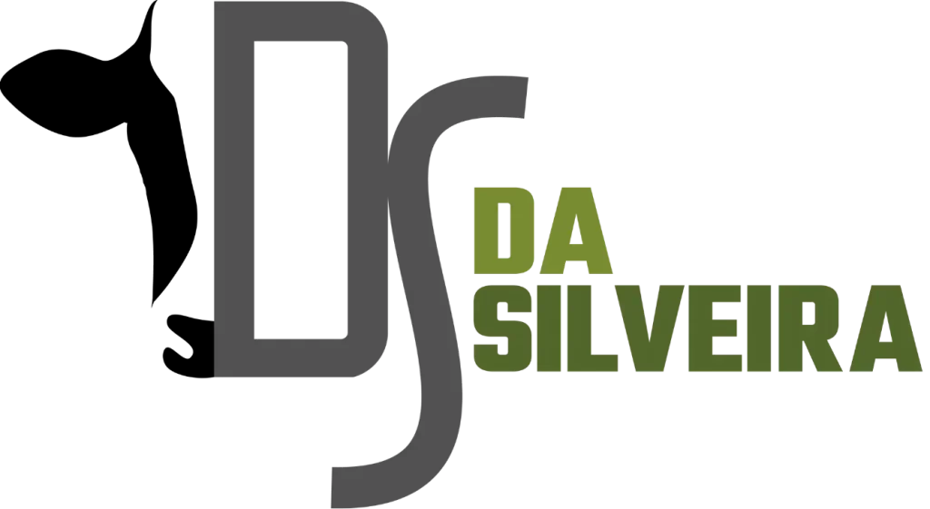 Logo Da Silveira - Ago